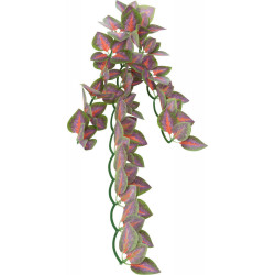 Trixie Pianta di tessuto da appendere, Folium Perillae, per rettili. 30 cm. TR-76244 Decorazione e altro
