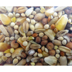 zolux Graines mélange premium décortiqué 2.5 kg pour oiseaux Nourriture graine