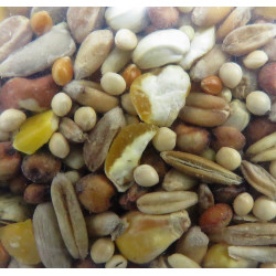 zolux Premium-Samenmischung . geschält 2,5 kg . für Vögel ZO-171013 Nahrung Samen