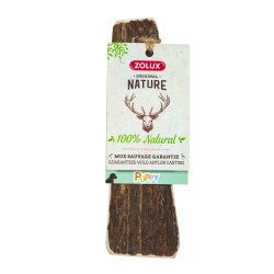 zolux Puppy deer antler chew stick, about 15 cm, for puppies. Chewable candy