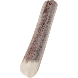 zolux Bastoncino da masticare in corno di cervo, circa 15 cm, per cuccioli. ZO-482315 Caramelle masticabili