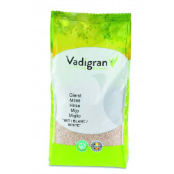 Vadigran Seeds for BIRDS white round millet millet 1Kg Nourriture graine