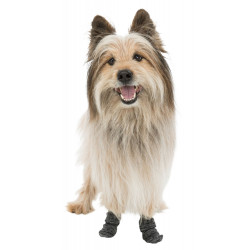 Trixie Chaussettes antidérapantes taille L pour chiens. Botte et chaussette