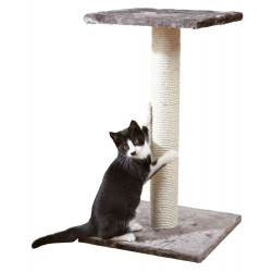 AP-43342 animallparadise Árbol para gatos, 40 x 40 cm, altura 69 cm, Espejo, color gris platino. Árbol para gatos