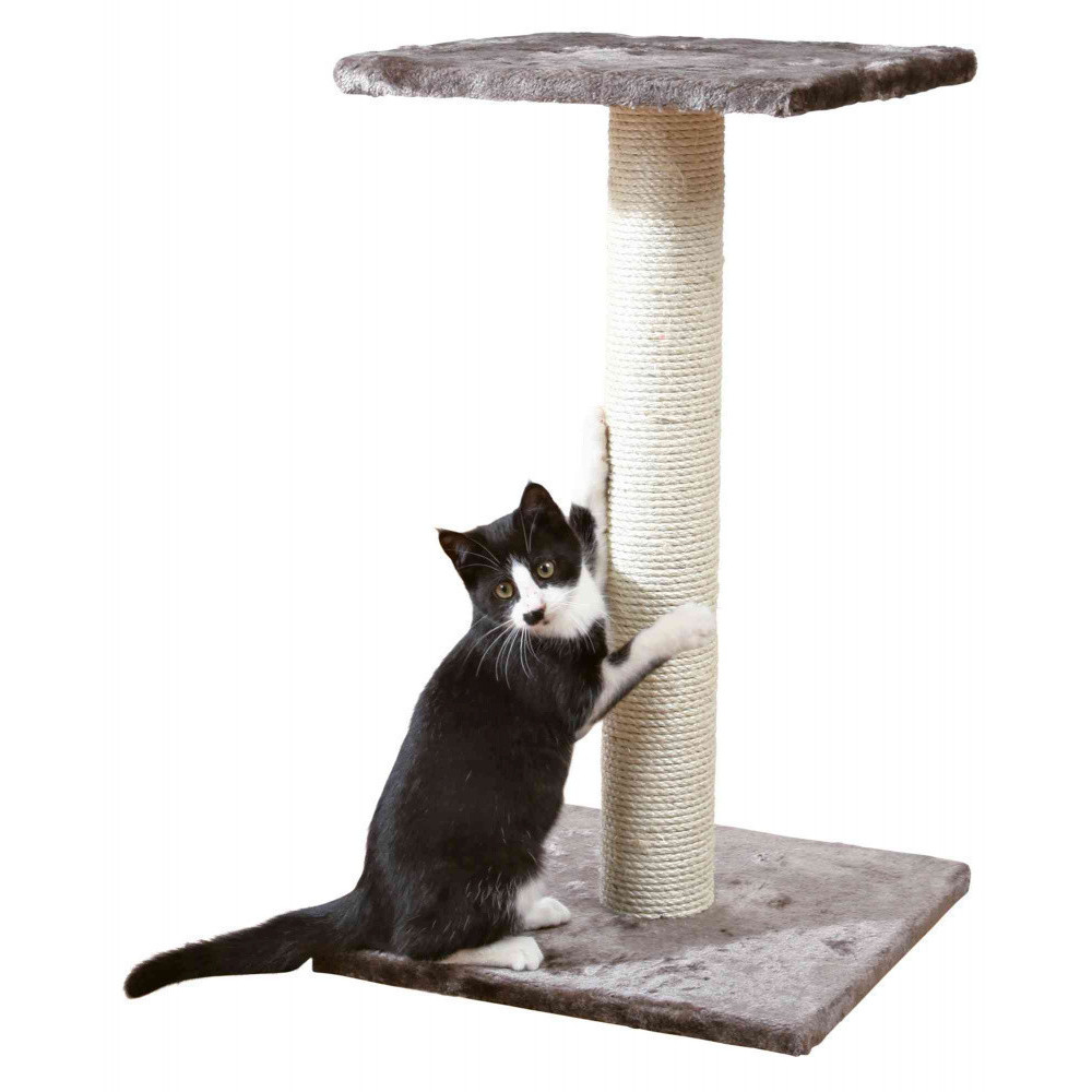 animallparadise Albero per gatti, 40 x 40 cm, altezza 69 cm, Espejo, colore grigio platino. AP-43342 Albero per gatti