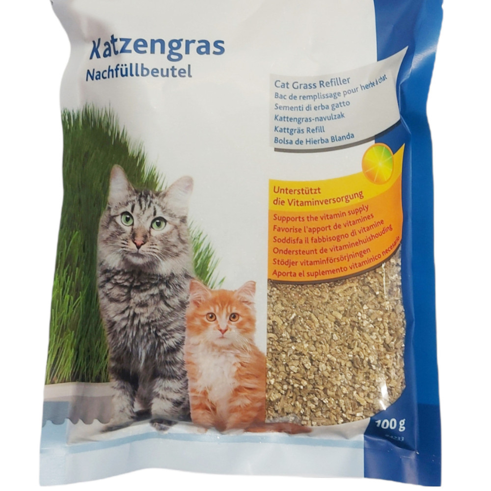 animallparadise Weiches Katzengras 100 Samen zum Anbauen. AP-4233 Katzengras