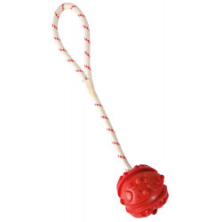 Jogo da água Bola numa corda, Tamanho: ø 4,5/35 cm, cor aleatória, para o seu cão. AP-33481 Jogos de cordas para cães