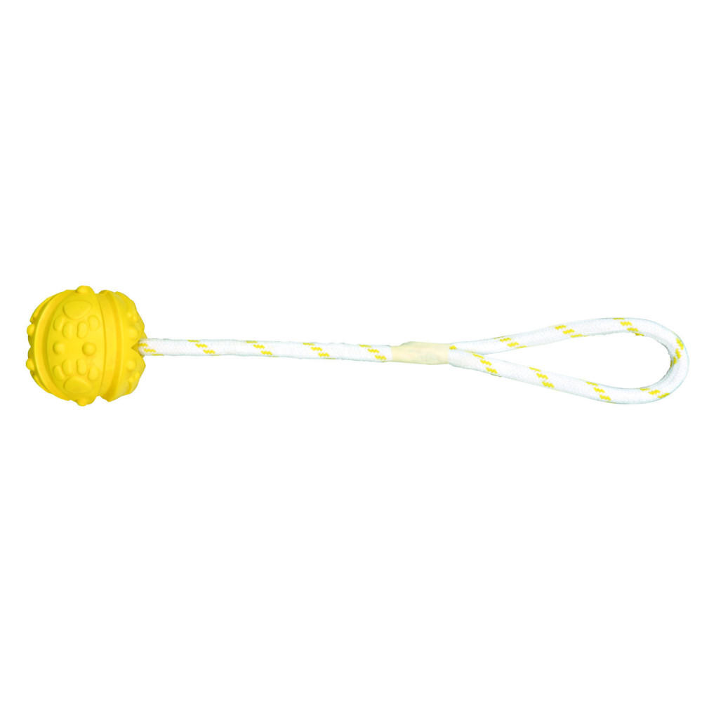 animallparadise Wasserspiel Ball am Seil, Maße: ø 4,5/35 cm, zufällige Farbe, für Ihren Hund. AP-33481 Seilspiele für Hunde