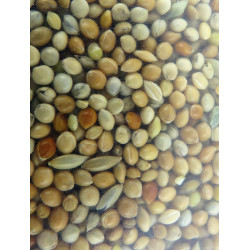 animallparadise Seeds, exotic bird food nutrimeal - 12KG. Seed food