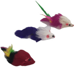 animallparadise 3 souris à plume jouet pour chat multi couleur Jeux