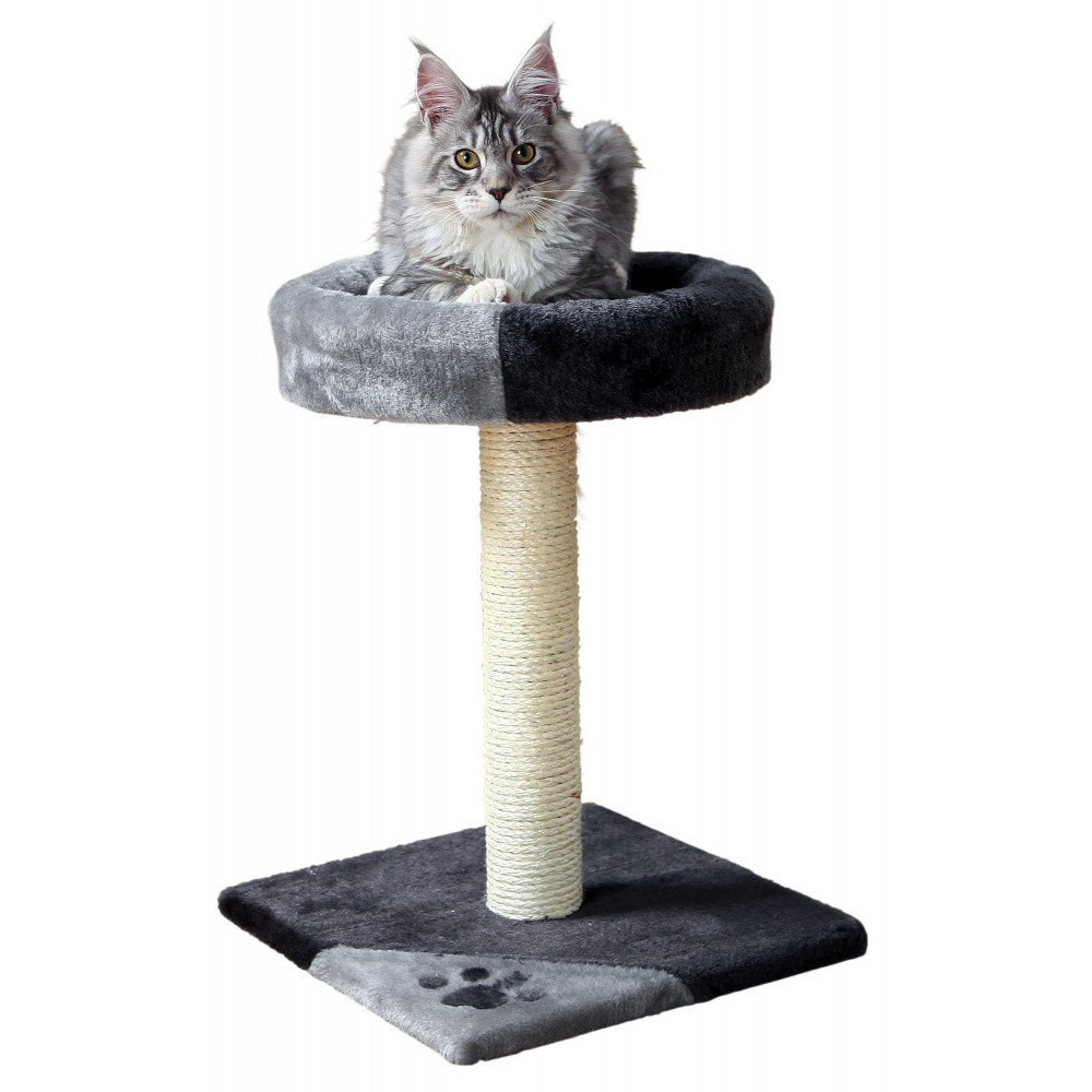 animallparadise Albero per gatti, dimensioni 35 x 35 cm, altezza 52 cm, Tarifa, colore nero e grigio. AP-43712 Albero per gatti