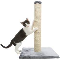 animallparadise Poteau griffoir Parla, hauteur de 62 cm pour chats Griffoirs et grattoir
