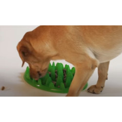 animallparadise Ciotola anti-gobbling. 40 cm per cani AP-44079 Ciotola per il cibo e tappetino antigola