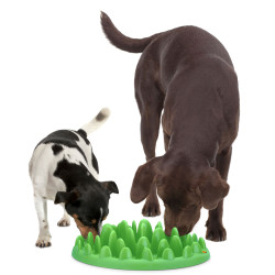 Tigela anti-gota. 40 cm para cães AP-44079 Tigela alimentar e tapete anti-aglutton