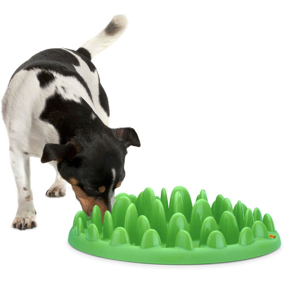 animallparadise Futternapf mit Tablett, 40 cm, für Hunde AP-44079 Futternapf und Anti-Fleck-Matte