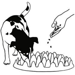 animallparadise Ciotola anti-gobbling. 40 cm per cani AP-44079 Ciotola per il cibo e tappetino antigola