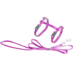 animallparadise Harness and leash of 1,10 meter for cat, pink color, Harnais