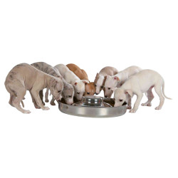 animallparadise Puppy bowl, ø 38 cm, 4 Litres, for dogs. Bowl, bowl