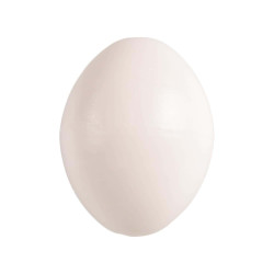 animallparadise 5 artificial plastic eggs ø 2.3 cm for birds Calopsitte, inseparable, agapornis Faux oeuf
