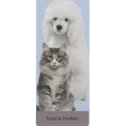 animallparadise Forbici per cani e gatti a doppia faccia. AP-TR-2355 Forbici