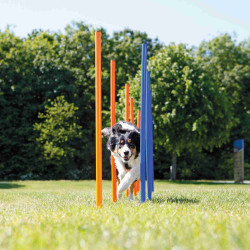 animallparadise Slalom Agility pour chien ø 3 × 115 cm Agility chien
