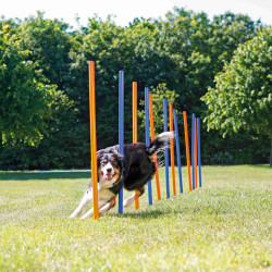 Slalom de agilidade para cães ø 3 × 115 cm AP-TR-3206 Cão de agility