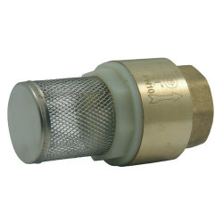 Jardiboutique Brass strainer valve 1" strainer valve