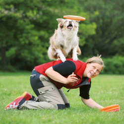 Frisbee, Activiteitenschijf "Dog Disc" ø 23 cm. voor honden. animallparadise AP-TR-33562 Frisbees voor honden