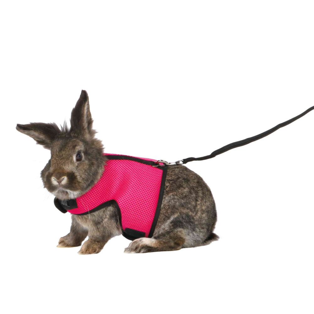 Trixie Harnais doux avec laisse 1,2 m pour grand lapins - couleur aléatoire Colliers, laisses, harnais