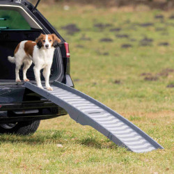 animallparadise Rampe pliable, pliable en 4 parties, en plastique/TPR. Taille 39 × 150 cm pour chien Rampe voiture pour chien