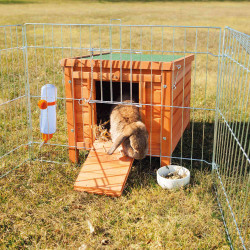 AP-TR-62391 animallparadise Hábitat para animales pequeños, conejos y cobayas. 42 x 43 x 51 cm Hutch