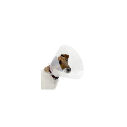 animallparadise une collerette de protection chien, L 44-50 cm/ 25 cm Collerettes pour chiens