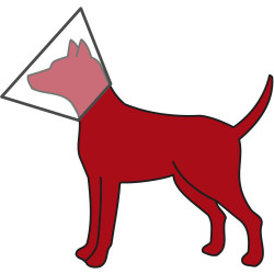 animallparadise ein Schutzkragen für Hunde, L 44-50 cm/ 25 cm AP-TR-19485 Halsbänder für Hunde