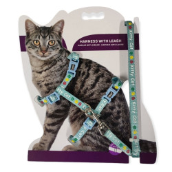 animallparadise Harness with leash KITTY CAT blue, 1.20m, for kitten. Harnais