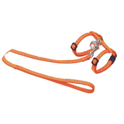 animallparadise Harness + leash 120 cm, orange polka dots, Adjustable, for cat. Harness