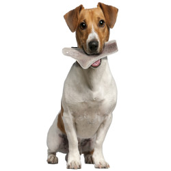 Chifre de veado bastão de mastigar Fácil, aprox. 15 cm, para cães com menos de 10 kg. AP-ZO-482316 Doces mastigáveis