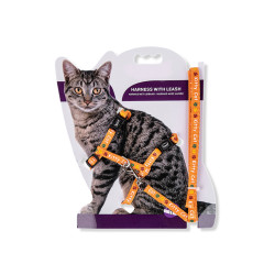 animallparadise Harness with leash 1.20m. KITTY CAT orange. for kitten. Harness