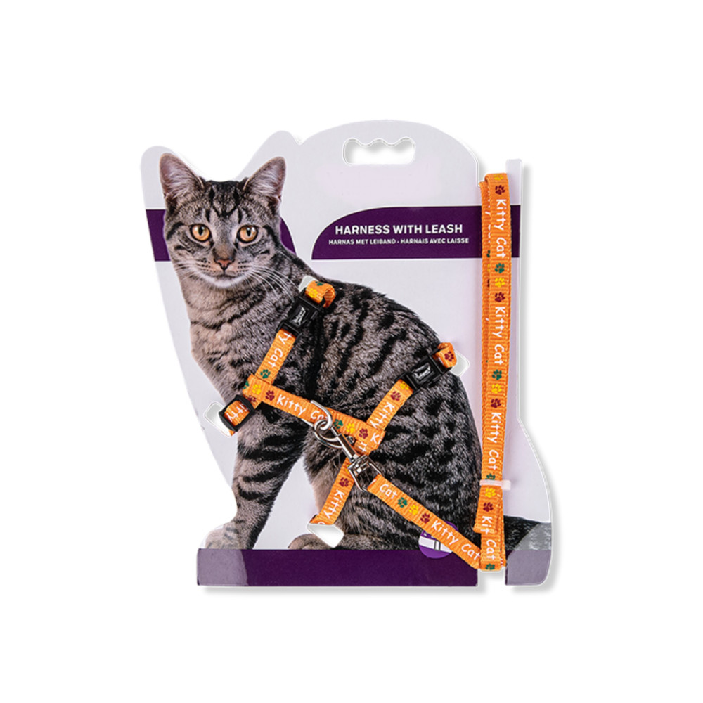 animallparadise Imbracatura con guinzaglio 1,20m. KITTY CAT arancione. per gattino. AP-VA-16595 Imbracatura