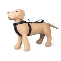 animallparadise Harnais et Ceinture de sécurité voiture, Taille XL, pour chien. Sécurité chien