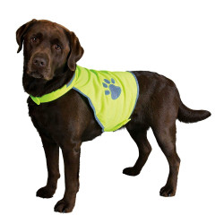 Trixie Gilet de sécurité pour chien taille XS Sécurité chien