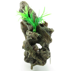 animallparadise Root and plant. Size: 30 x 12 x 27 cm. Aquarium decoration. Racine