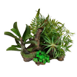 animallparadise Racine et plantes, 36 x 31 x 33 cm, décoration aquarium. Décoration et autre
