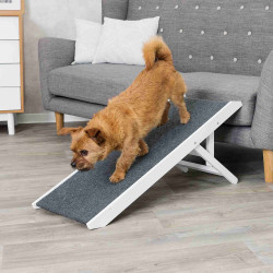 animallparadise Wooden ramp for cats and dogs, 36 x 90 cm. Accessibility