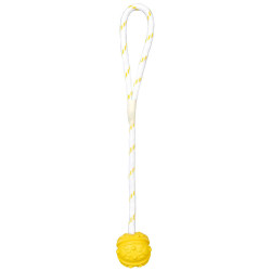 animallparadise Water game Ball on a rope, Size: ø 7 x 35 cm, random color, for your dog. Jeux cordes pour chien