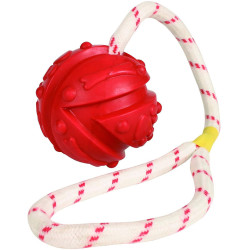 animallparadise Water game Ball on a rope, Size: ø 7 x 35 cm, random color, for your dog. Jeux cordes pour chien