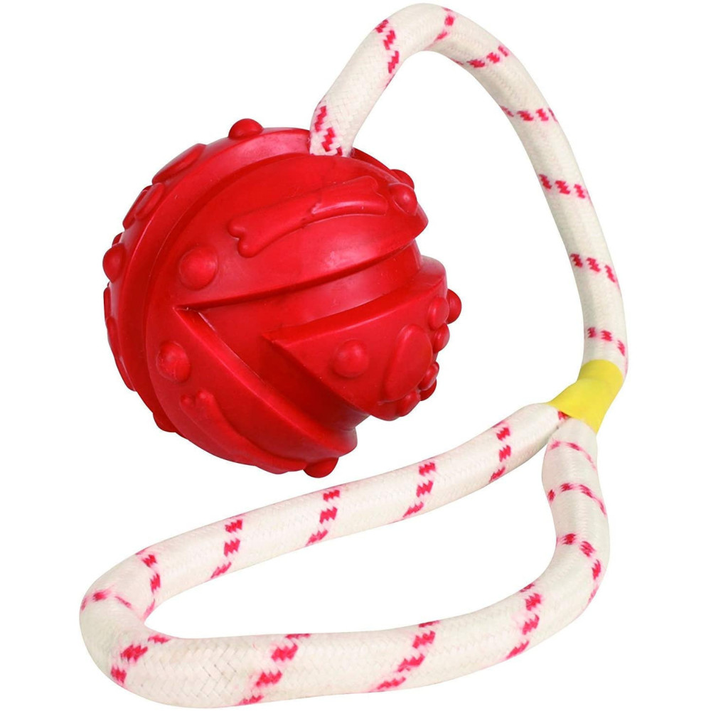 animallparadise Jeu aquatique Balle sur corde, Dimensions: ø 7 x 35 cm, couleur aléatoire, pour votre chien. Jeux cordes pour...