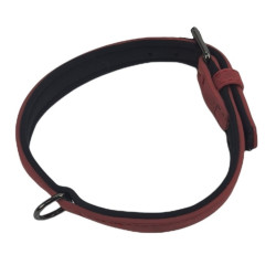Halsband maat S, 29-35 cm, gemaakt van imitatieleer en neopreen, kleur rood, voor honden. animallparadise AP-FL-519280 Halske...