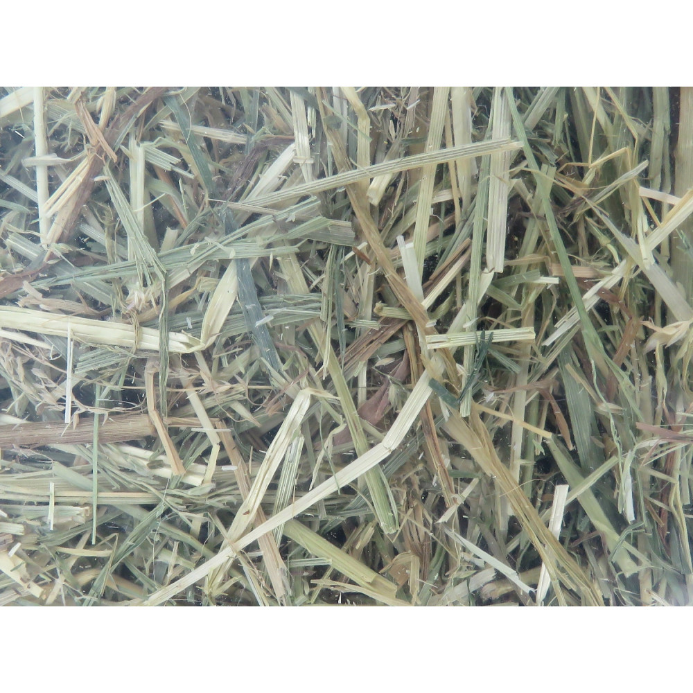animallparadise Alpine hay, mint and chamomile, 1 kg, for rodents. Rodent hay