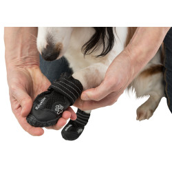 animallparadise Walker Active stivali protettivi taglia: L-XL per cani. AP-TR-19466 Stivale e calzino