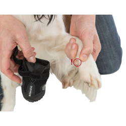 animallparadise Walker Active protective boots, size: M-L for dogs. Boot and sock